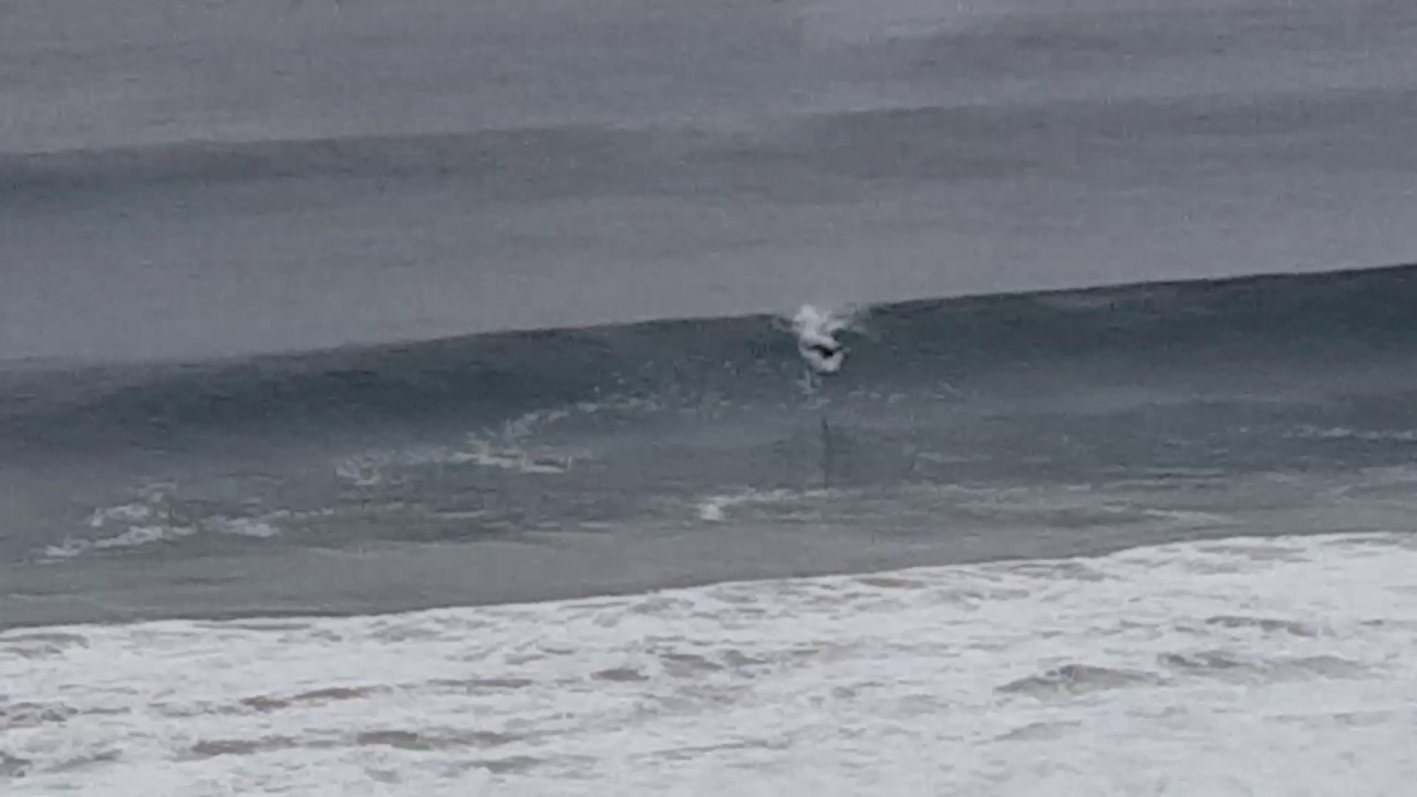 Surfs up at Torrance Beach, Ca.