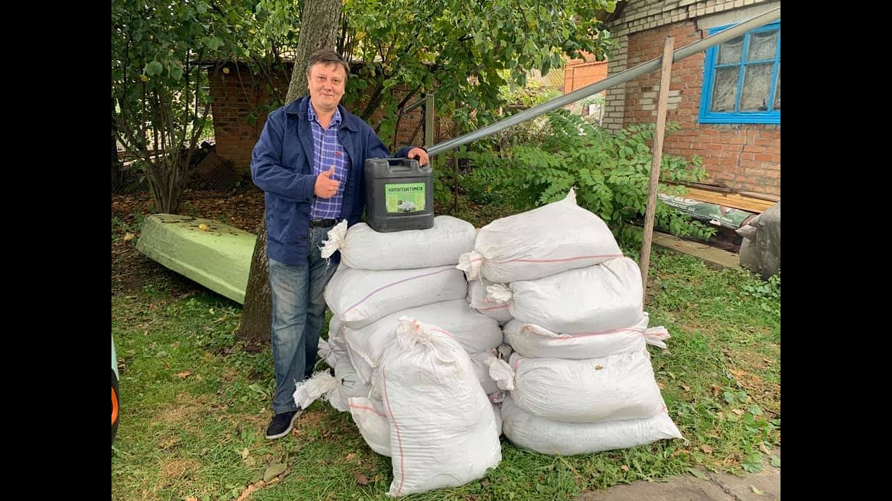 Внесение органики на голубике 2020г .