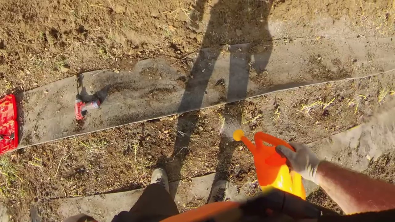 წყლულეთი | პატარა ბოსტანი, ჭლაკვი, მარწვი, მწვანილი