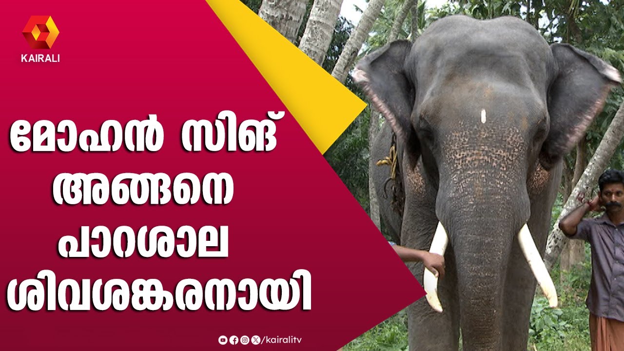 സ്വന്തം തേവരുടെ തിടമ്പേട്ടാനുള്ള ഭാഗ്യമില്ല | പാറശ്ശാല ശിവശങ്കരൻ | ഗജകേരളം | ആനച്ചൂര് | E4Elephant