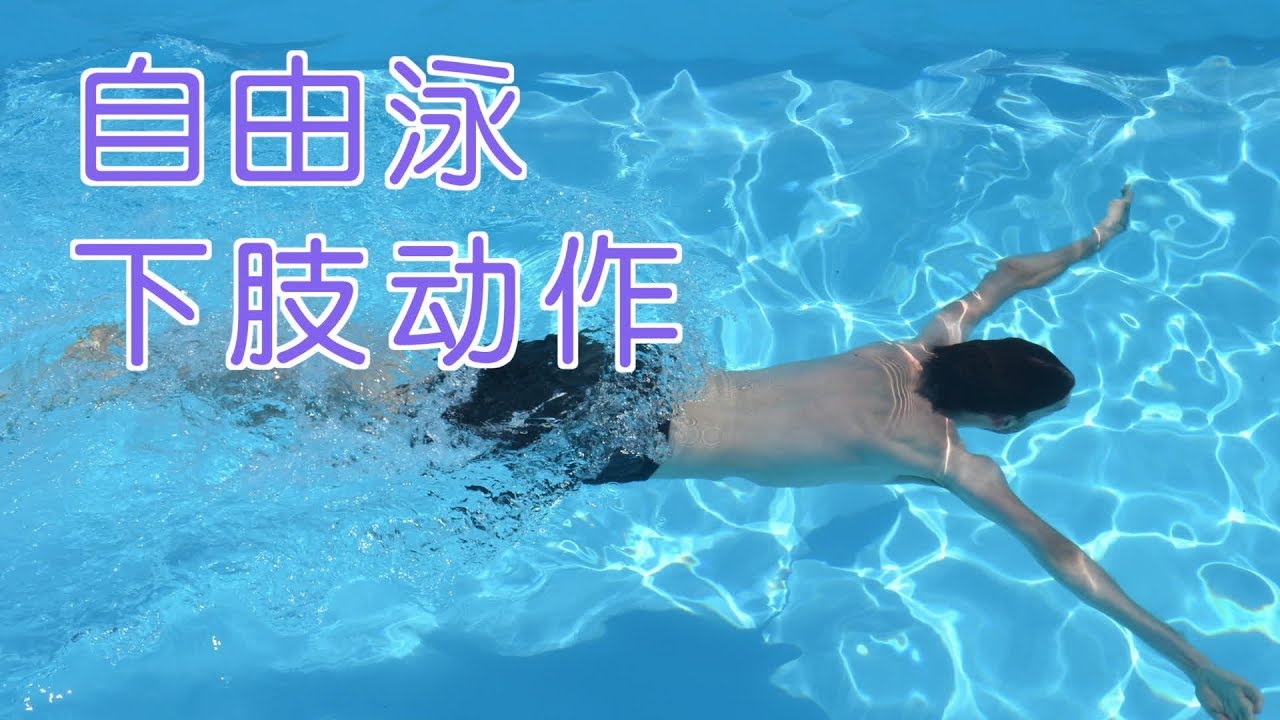 练好自由泳下肢动作两个简单方法