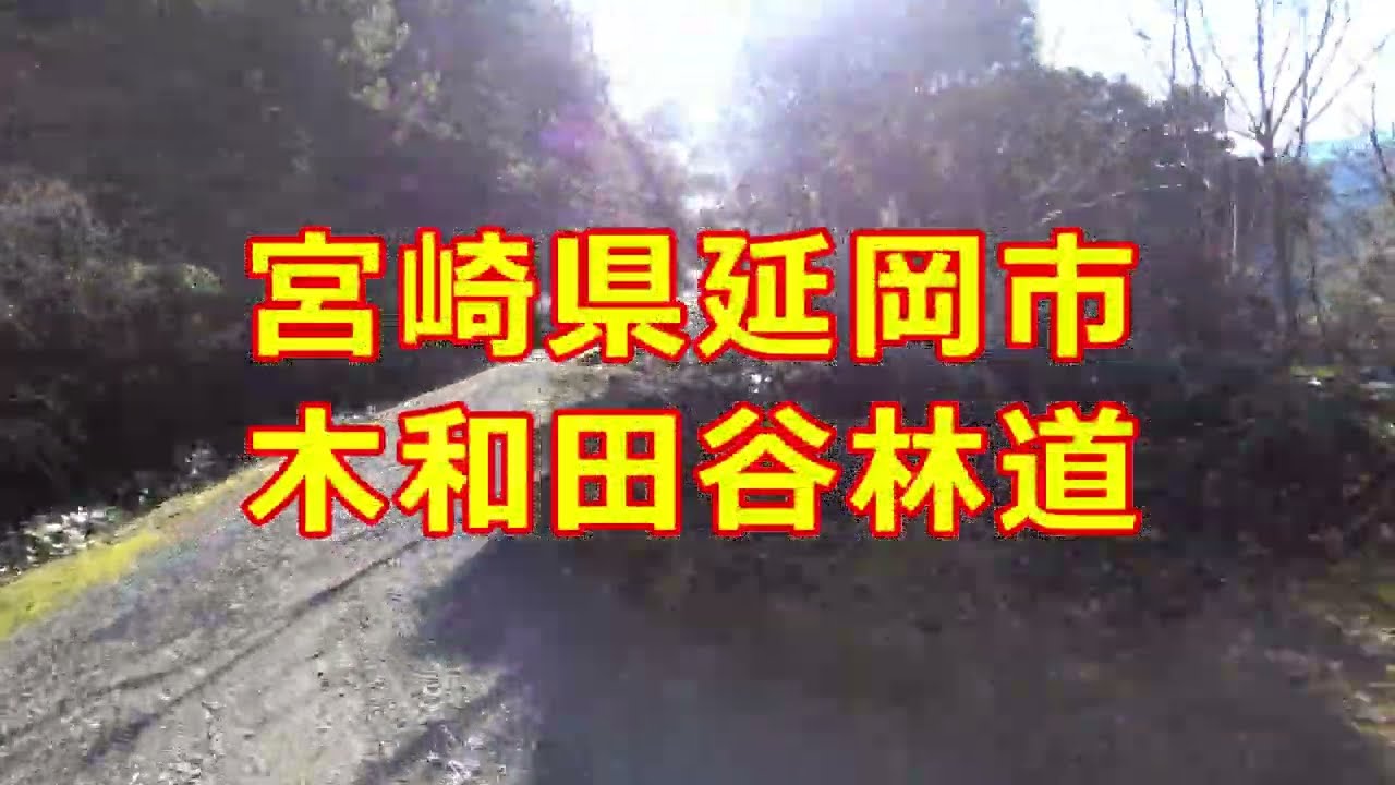 【宮崎県　林道】木和田谷林道 #crf250l で行く#林道 ＃ツーリング　#4k