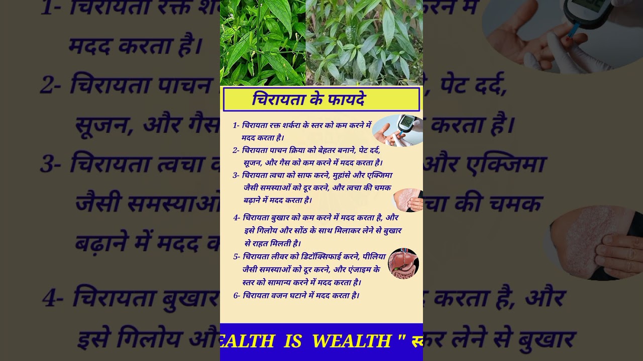 चिरायता के फायदे, chirayata ke fayde,#Chirata #Swertiachirayita #chiratabenefits #chirayata #health