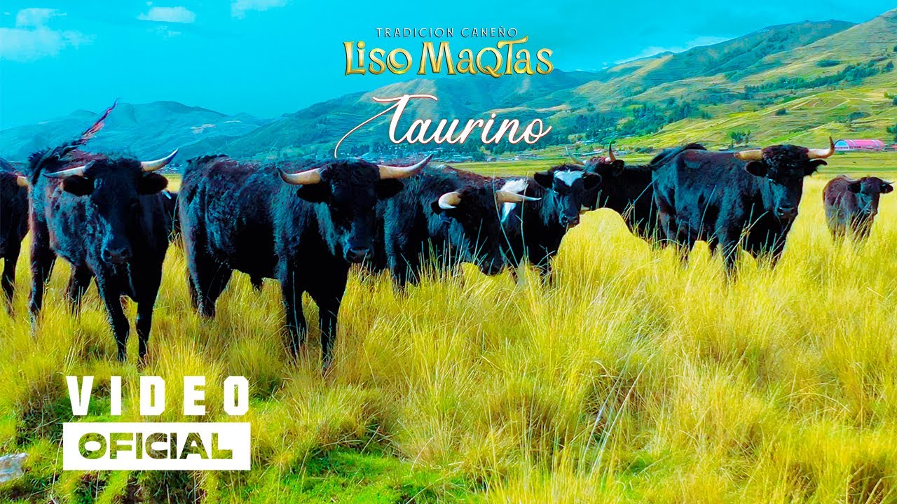 LOS LISO MAQTAS de CANAS - Taurino | Primicia 2025 | H&M Producciones Perú