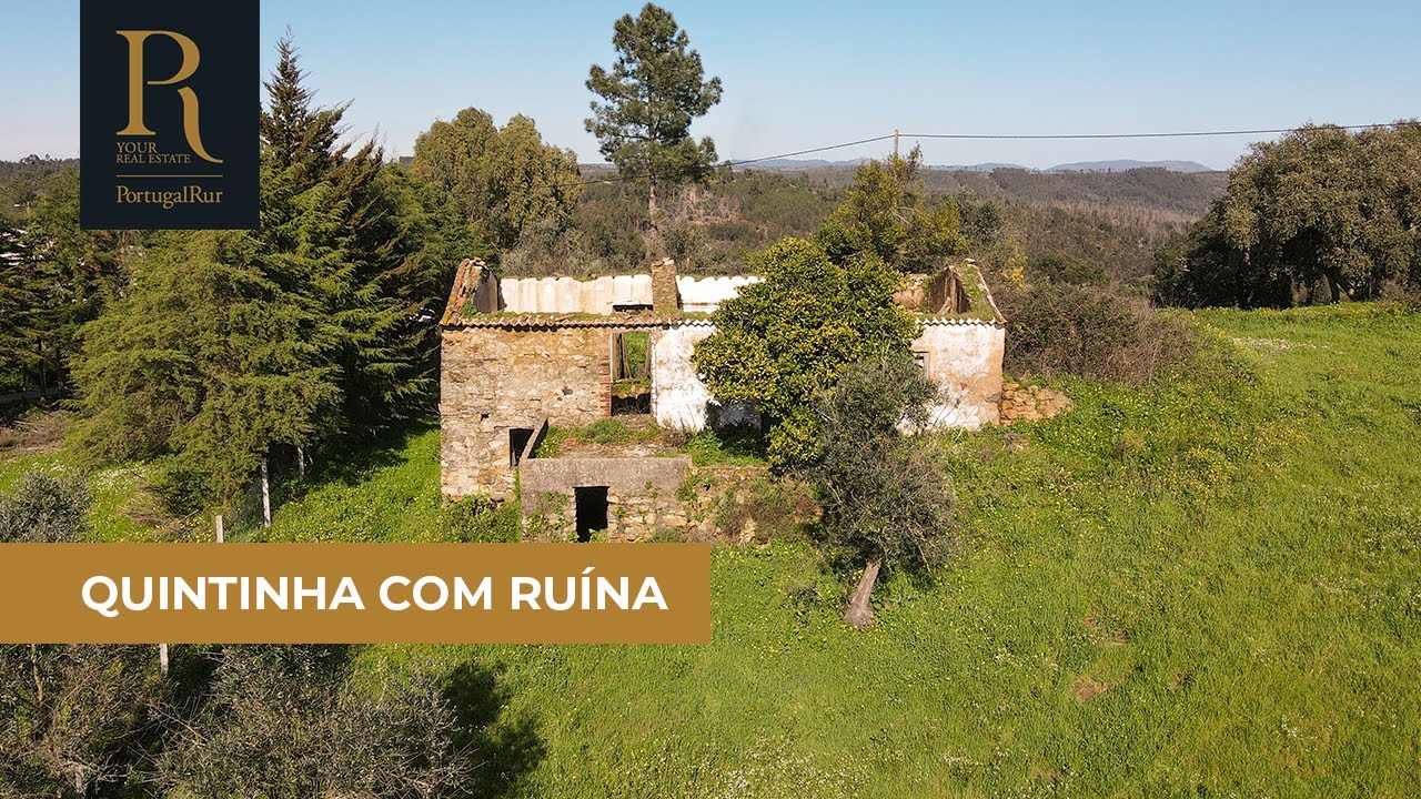 Quintinha com casa em ruínas | REF. 313