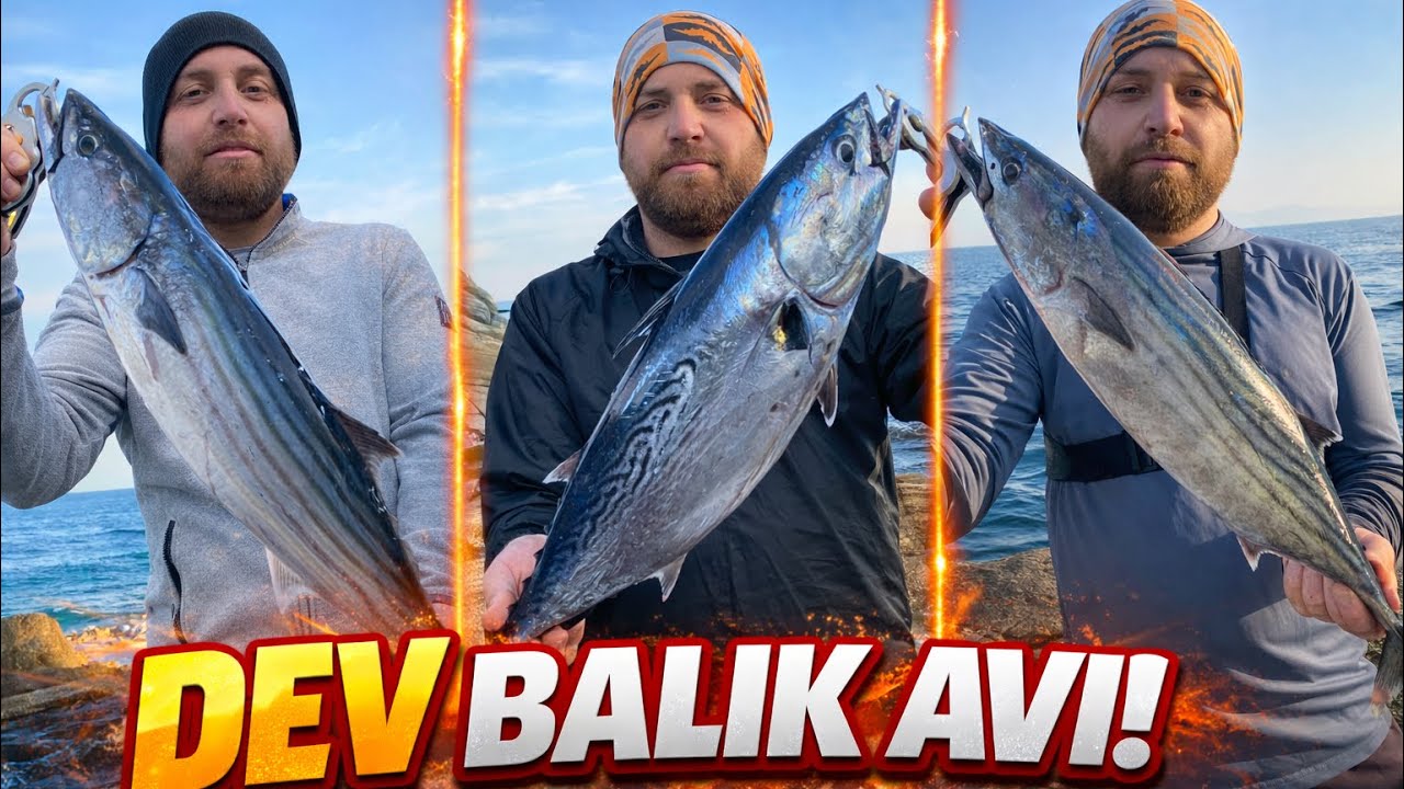 Kıyıdan Shore Jigging! Sert Vuruşlar ve Aksiyon Dolu Anlar
