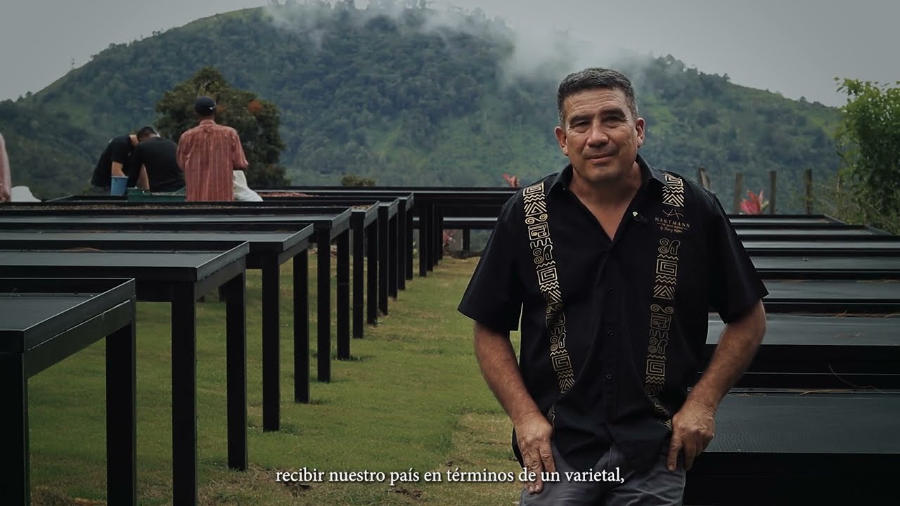 PANAMA GEISHA: UN TESORO COMPARTIDO CON EL MUNDO