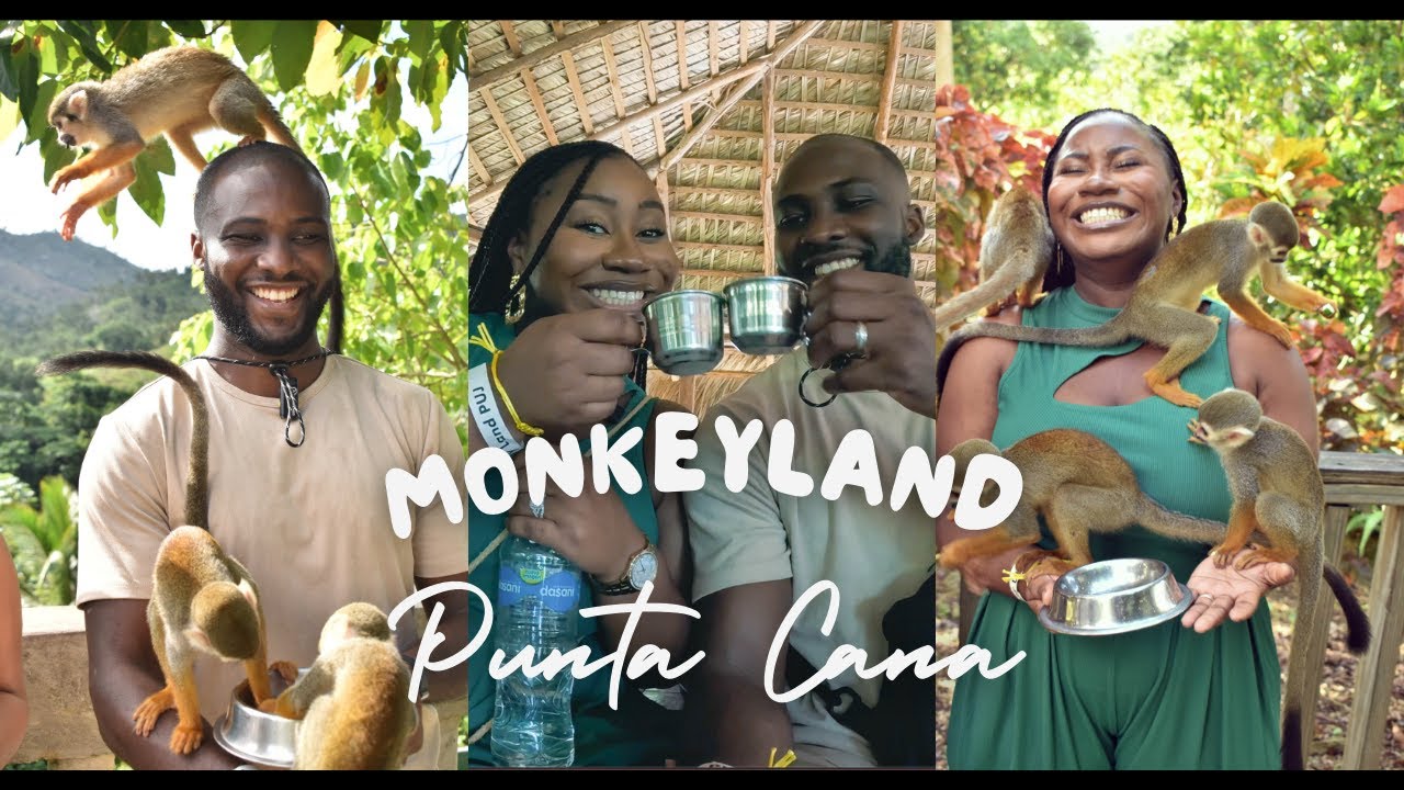 Monkeyland в Пунта-Кане | Доминиканская Республика #puntacana #domicanrepublic #monkeyland