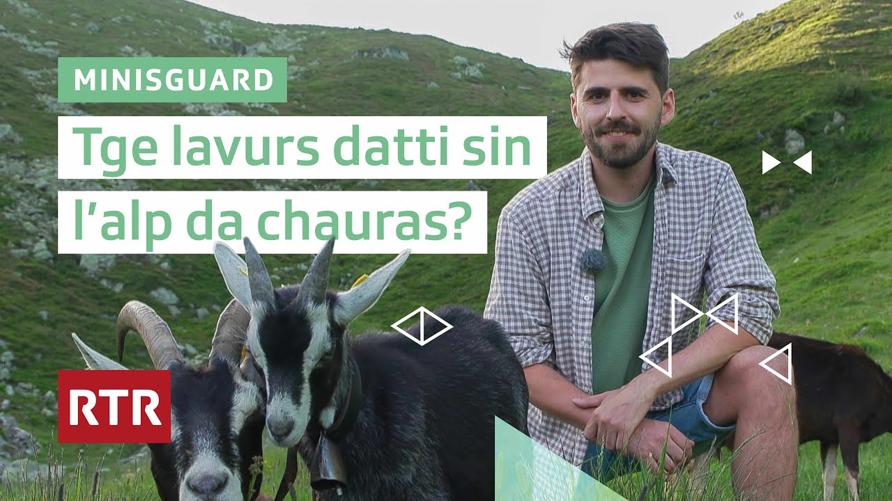 Minisguard: Tge lavurs datti sin l'alp da chauras?