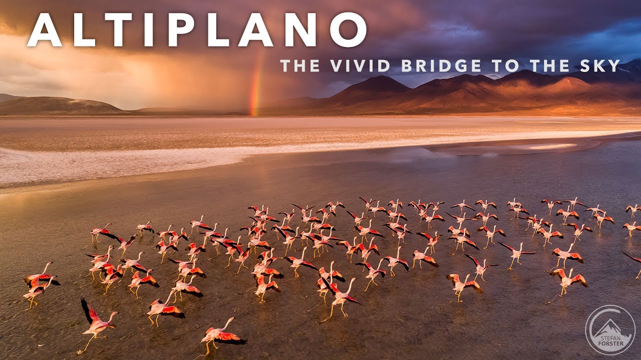 THE ANDES - THE VIVID BRIDGE TO THE SKY 4K