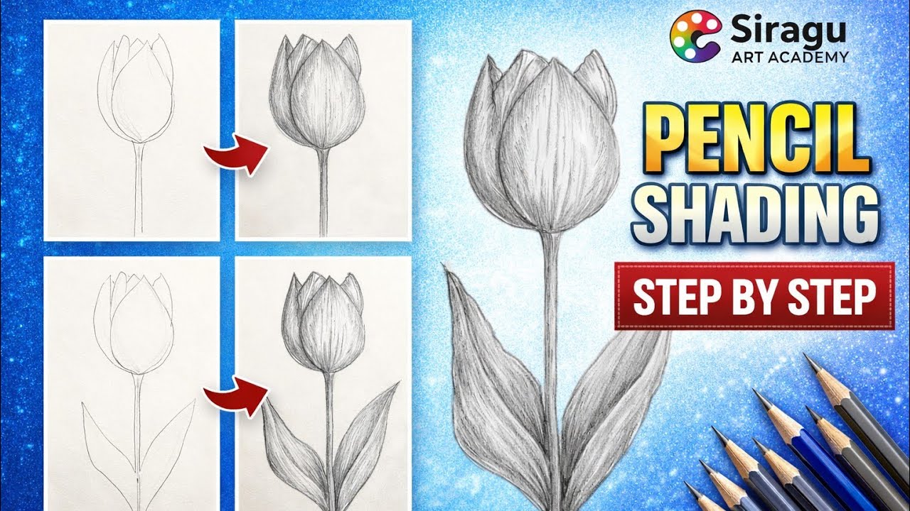 Tulip Flower Pencil Shading | Easy Step by Step Drawing for Beginners Tamil 