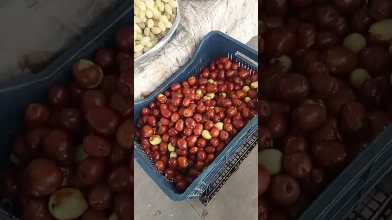 denizli Çivril Perşembe pazarı hazirligi