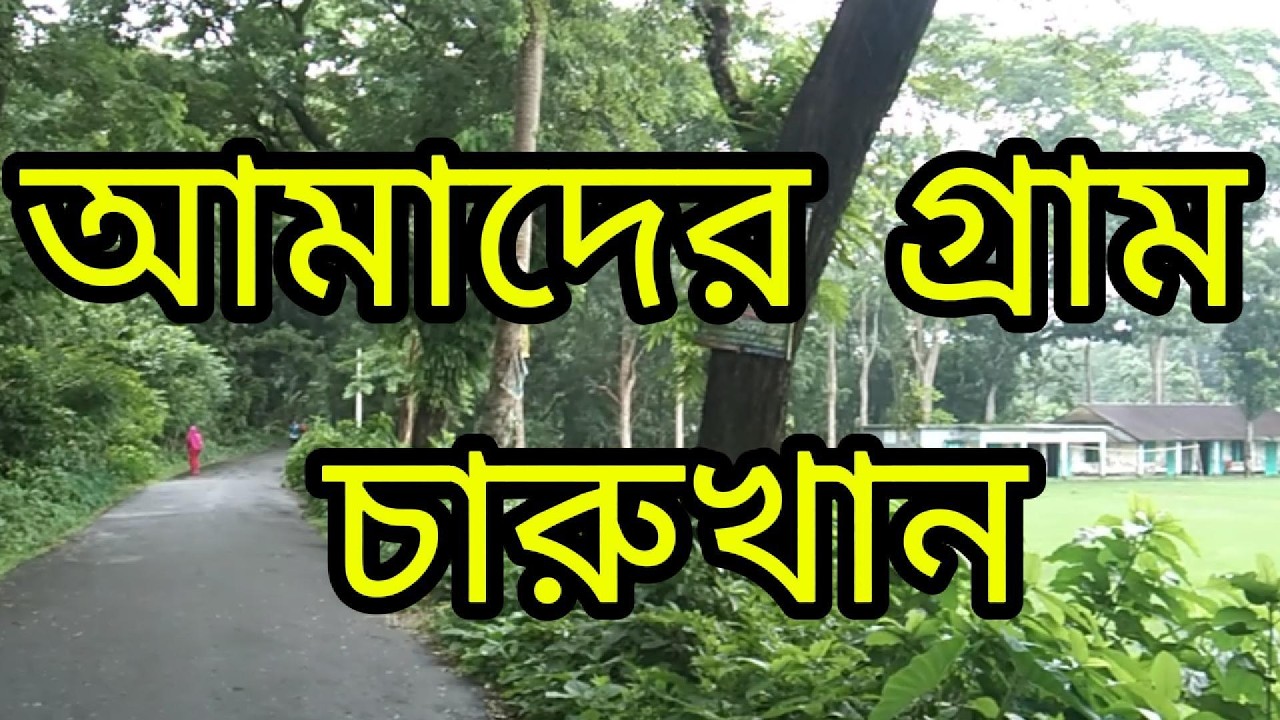 আমাদের গ্রাম চারুখান। #viralvideos #video #love #viral #foryou #trnding_song #music #trendingvideo