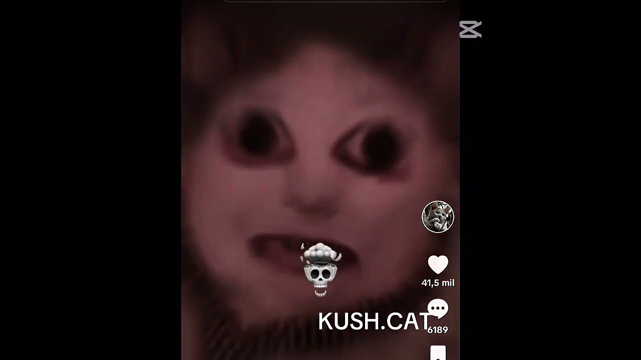 otros entes 😐 kush.cat y retolam💀 #edit