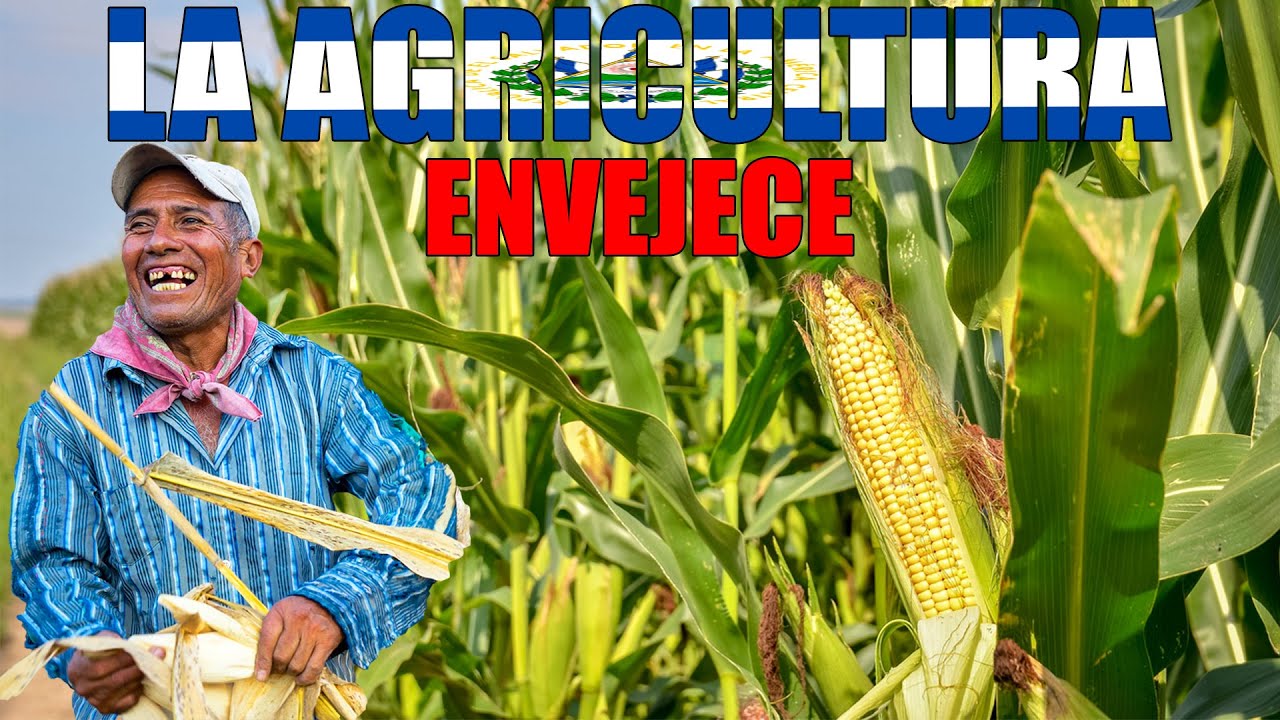 LA AGRICULTURA EN EL SALVADOR VA A DESAPARECER😰