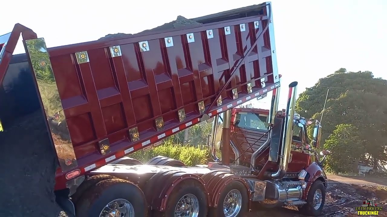 Shepherd | fully custom prostar /isx Cummins with 18 speed transmission |red lion/1 sheepy don