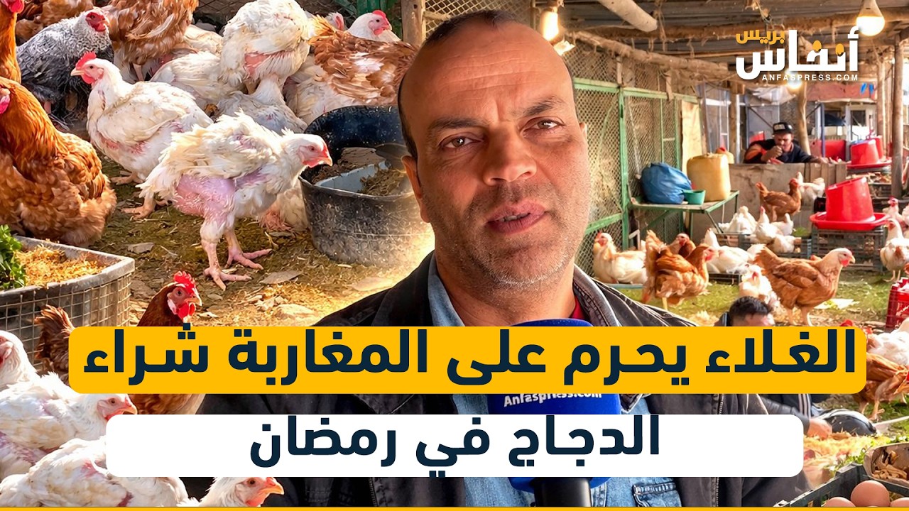 الغلاء يحرم على المغاربة شراء الدجاج في رمضان