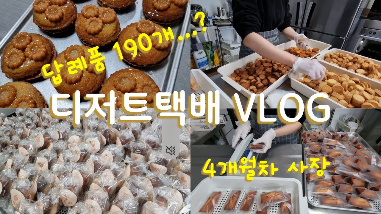 답례품 190개...?! 4개월차 쿠키집 사장VLOG❣️(디저트카페 브이로그, 디저트택배 브이로그, 수제쿠키집, 구움과자, 아메리칸쿠키, 사브레)