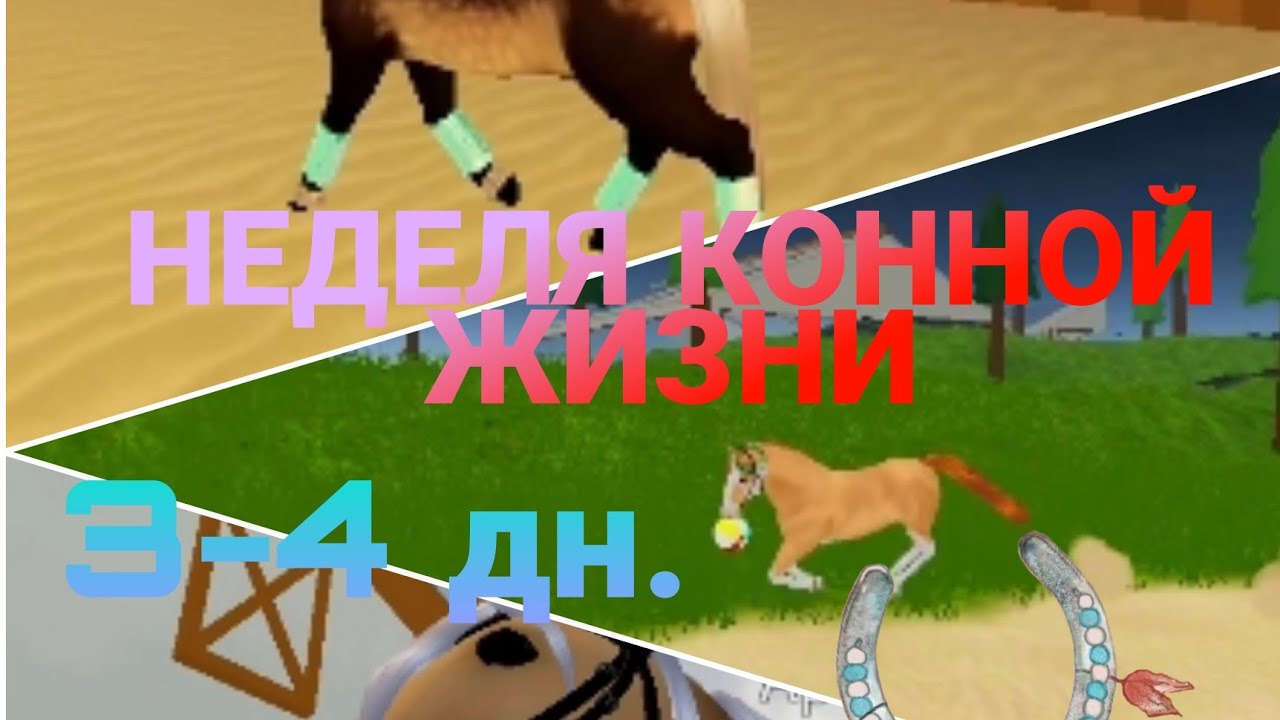 НЕДЕЛЯ КОННОЙ ЖИЗНИ! [3-4 дн.] (2 ч.)