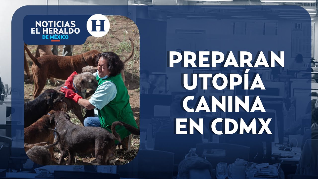 &iexcl;Por el bien de los perritos! alistan Utop&iacute;a Canina en CDMX | Noticias Heraldo