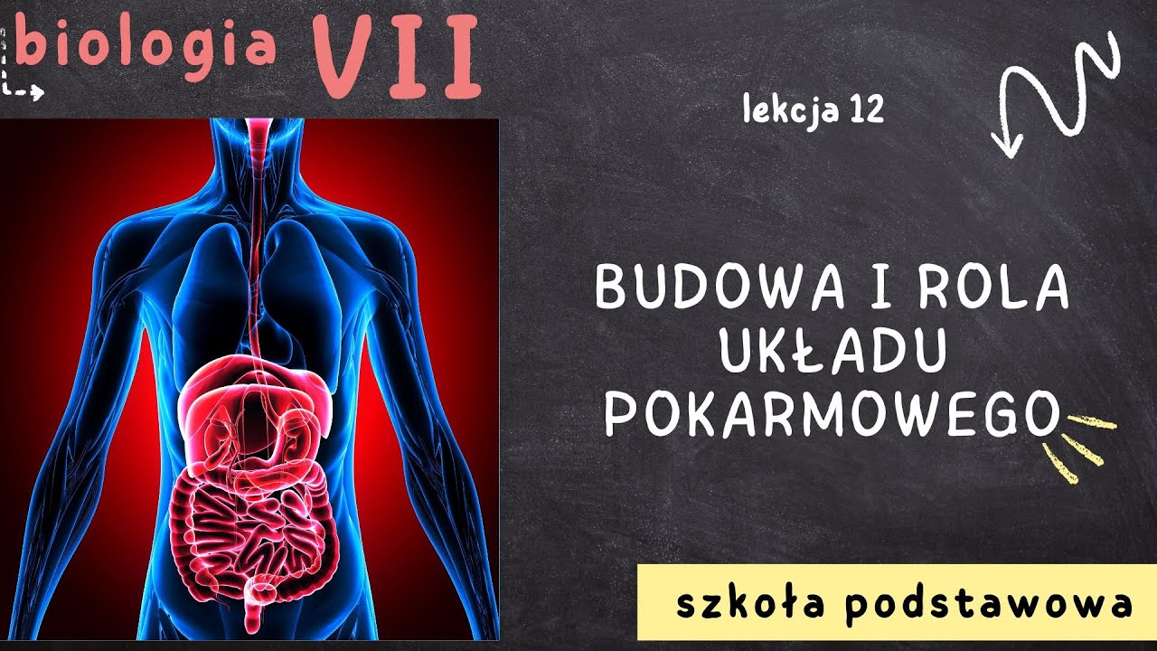 Biologia 7 [Lekcja 12 - Budowa i rola układu pokarmowego]
