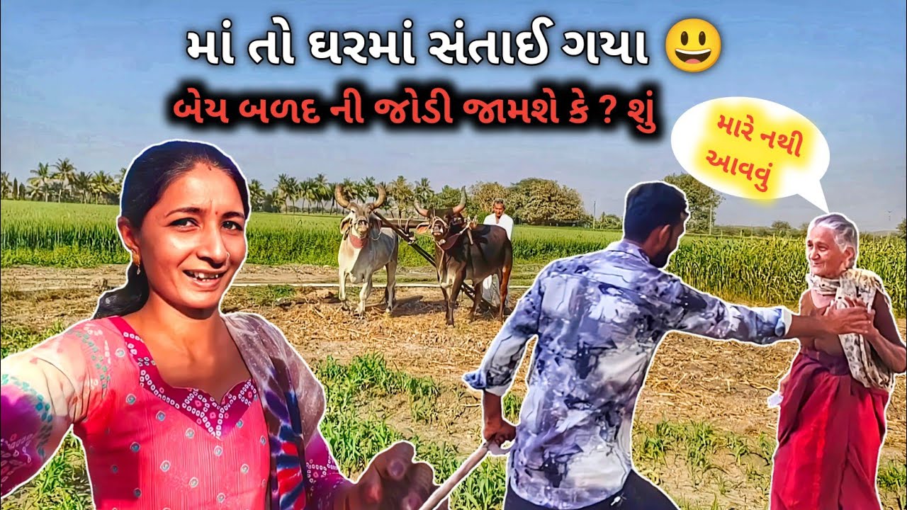 નવા બળદની બીકે માં તો ઘરમાં સંતાઈ ગયા 😃 બેય બળદ ની જોડી જામશે કે? શું || R Gujju Vlog || 