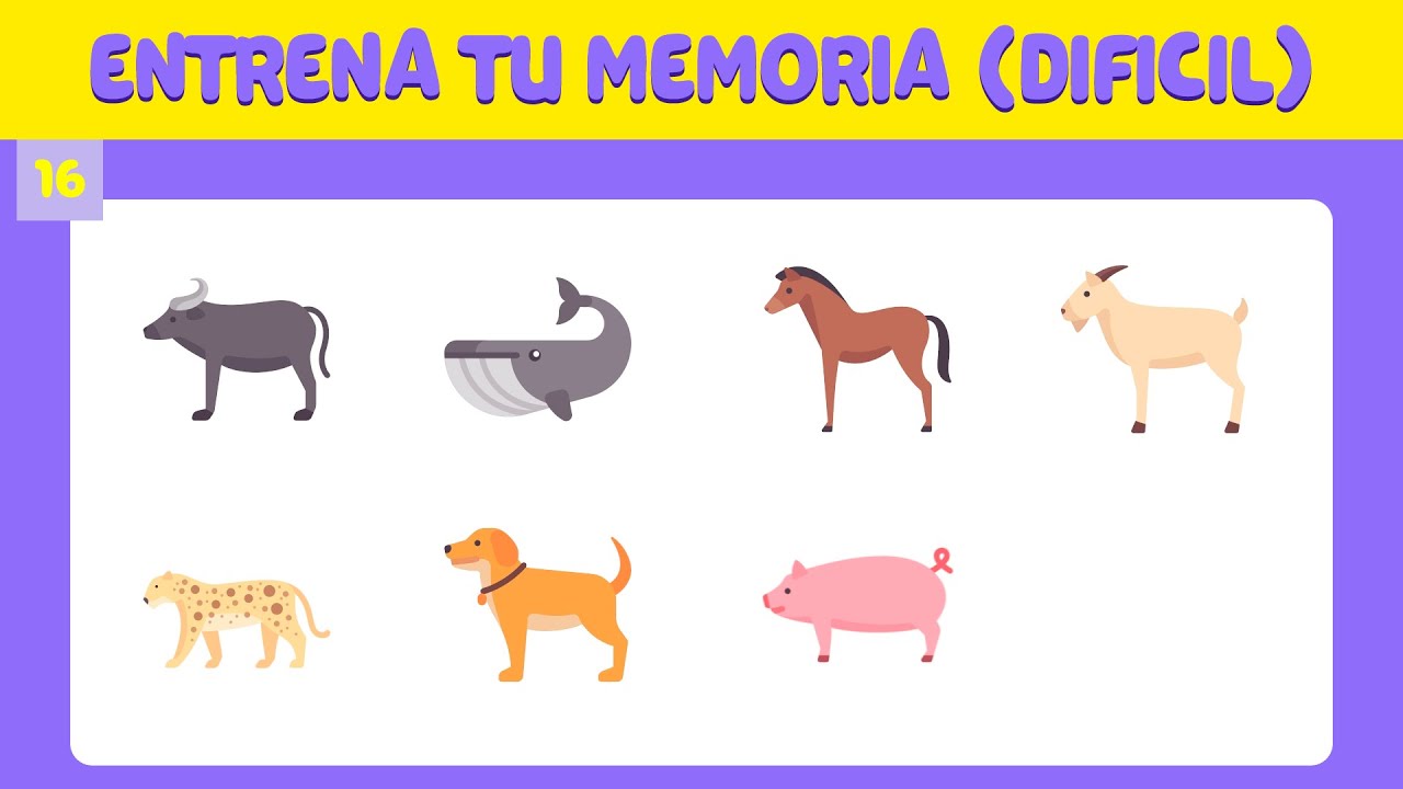 ¿Tienes una MEMORIA fuerte? Compruébalo con este TEST PARA ENTRENAR TU MEMORIA | BAZUM