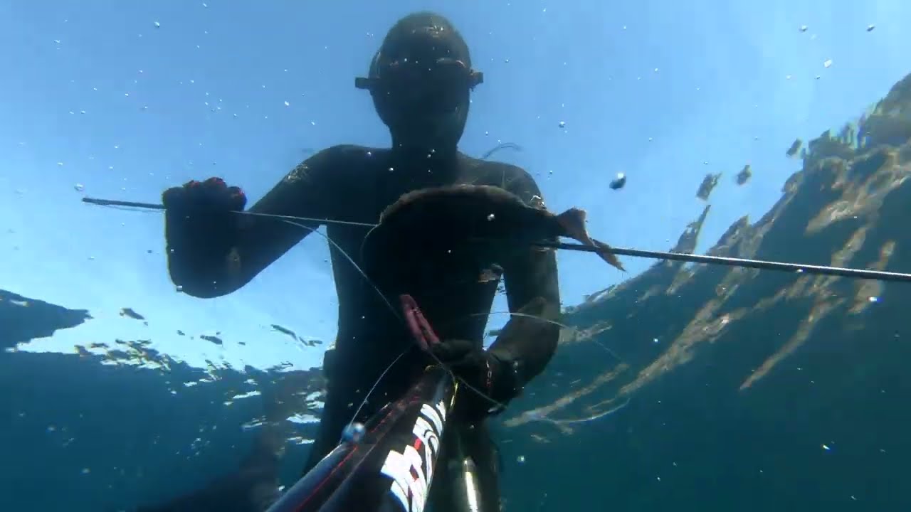 Spearfishing Croatia 2025 - Kantari (Black Seabream)