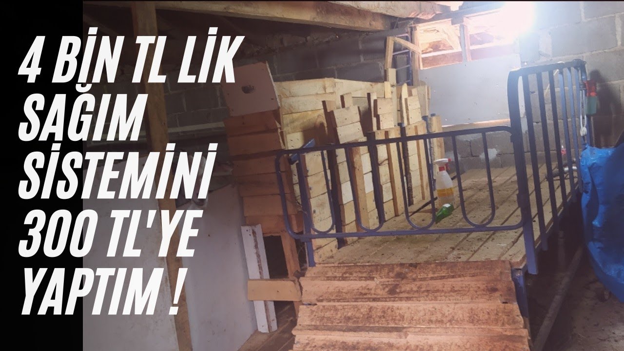 4 bin TL lik sağım sistemini 300 TL ye yaptım! - Şehirden köye kaçış-  #saanen #şehirdenköyegöç
