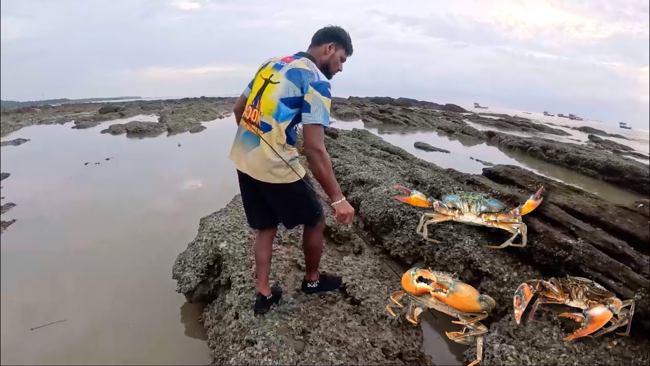 लोखंडी आकड्याने पकडली मोठी चिंबोरी. Big crab's catching tequnics. Mumbai India fishing