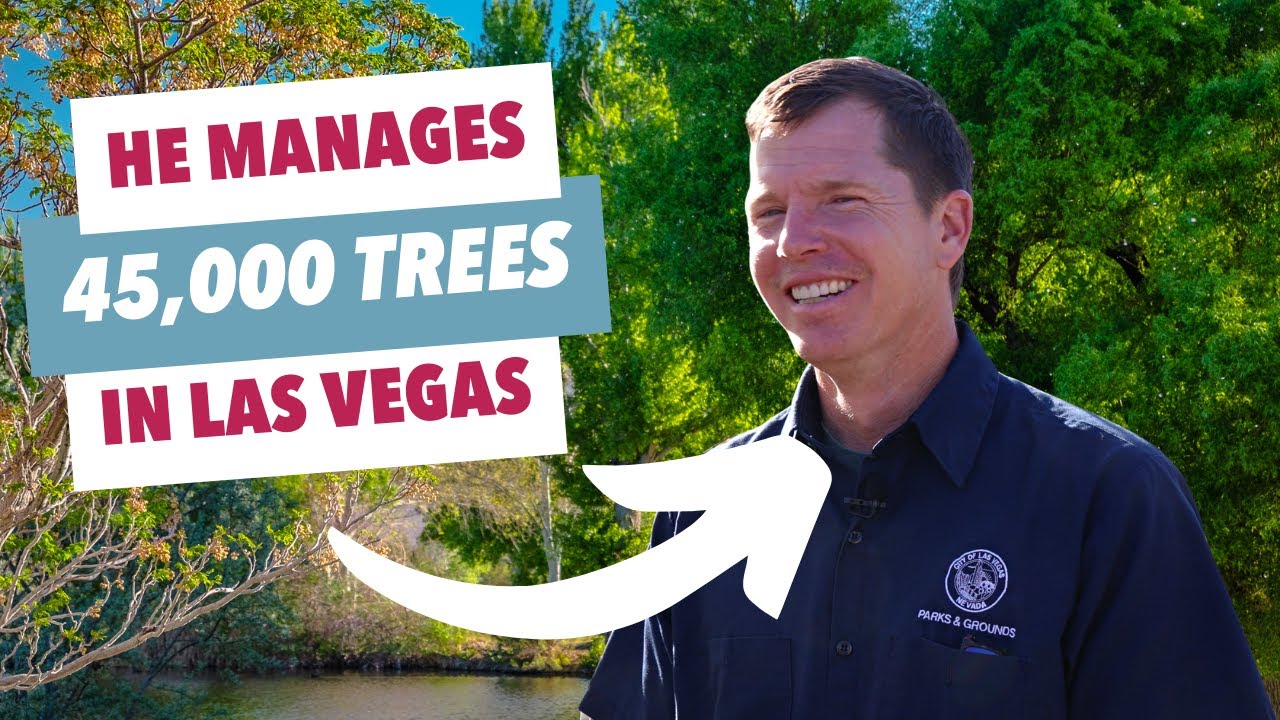 Ride Along with the City of Las Vegas Arborist