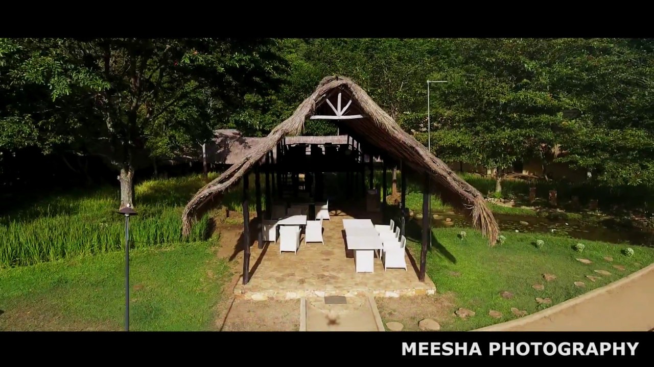 ELLA NATURE_MEESHA PHOTOGRAPHY