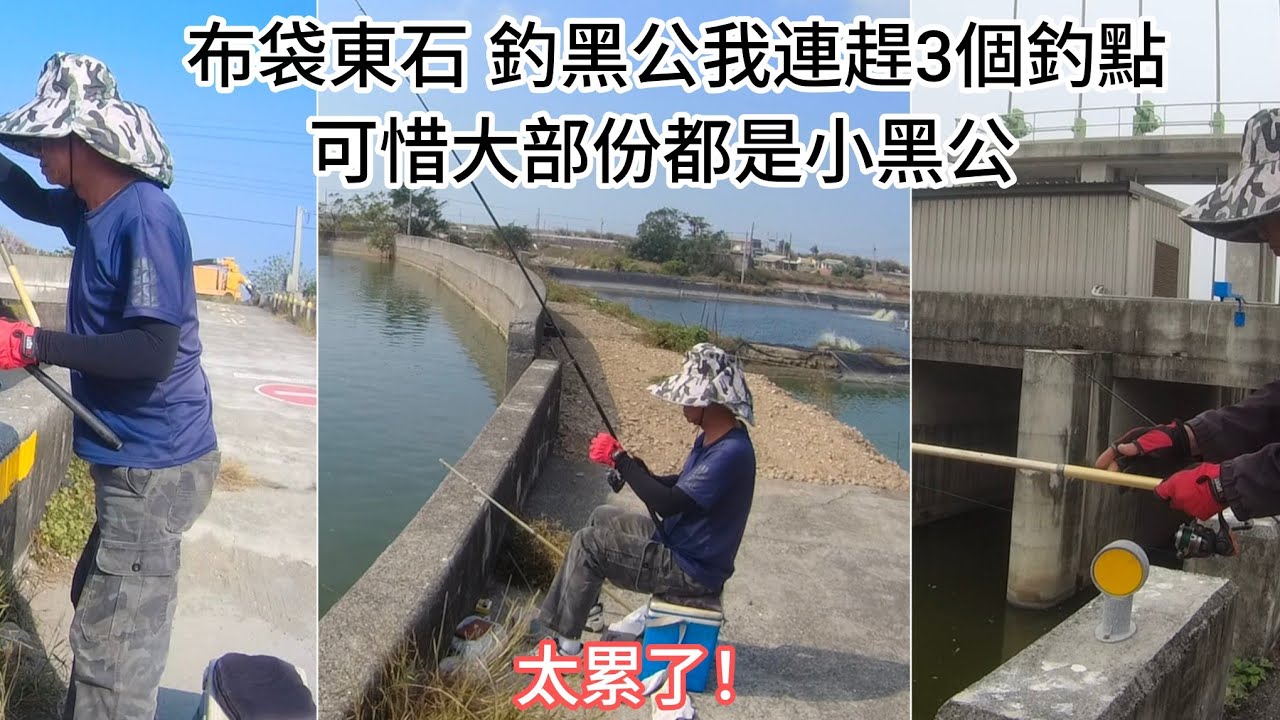 我連續跑3個釣點釣黑公 這趟黑公一樣很多但不大就是（387集）@Pin338548 阿平趴趴走