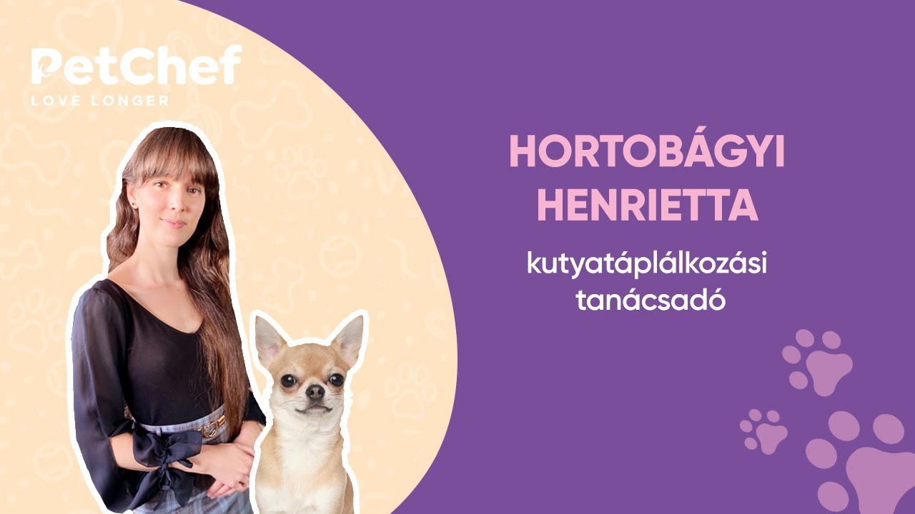 Ismerj&eacute;tek meg Hortob&aacute;gyi Henriett&aacute;t, a PetChef kutyat&aacute;pl&aacute;lkoz&aacute;si tan&aacute;csad&oacute;j&aacute;t