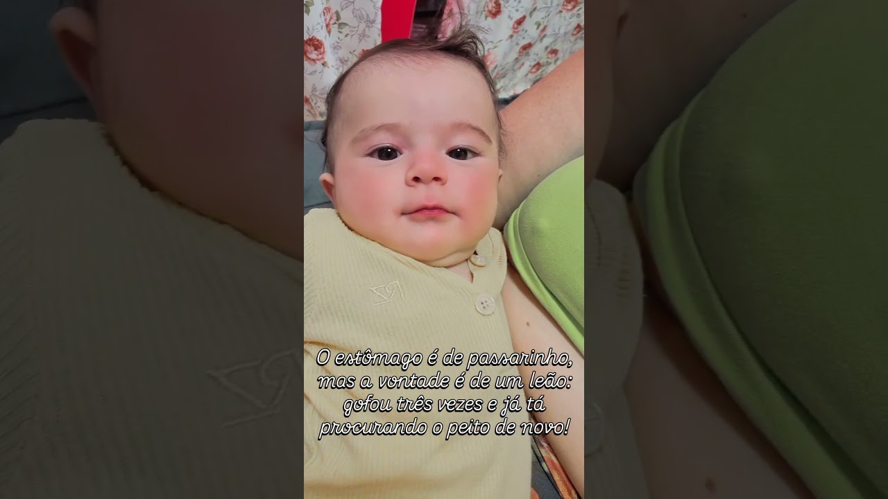 O estômago é de passarinho, mas a vontade é de um leão: gofou três vezes e já tá querendo mamar