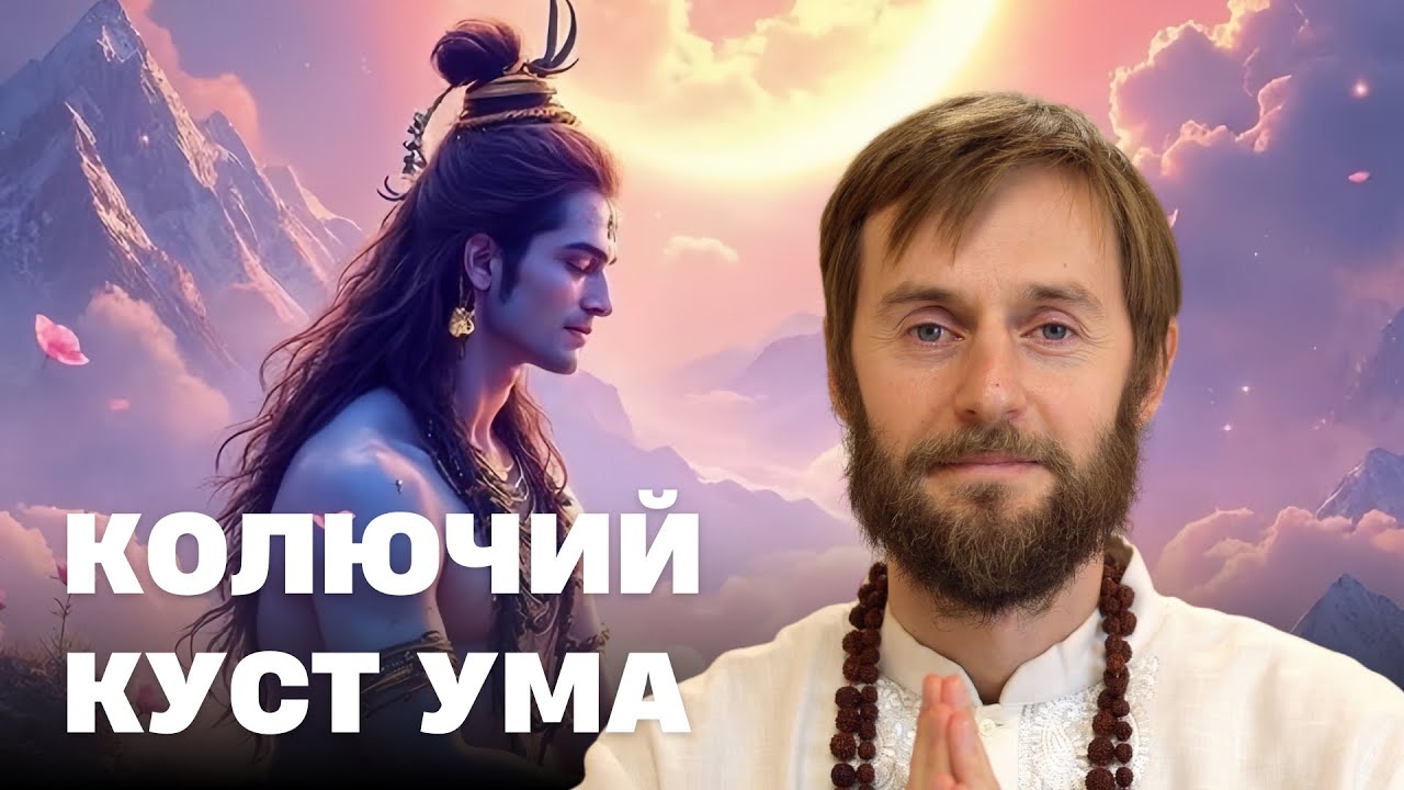 Удаление колючего куста ума. Комментарий к 