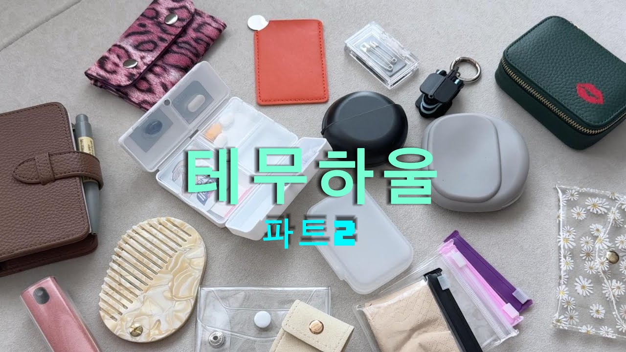 TEMU 테무 추천템 2탄! 정말잘쓰는 미니템 모음 👜#테무하울 #테무추천템 #정리템#미니템#수납템  #쇼핑하울  #pocketrei