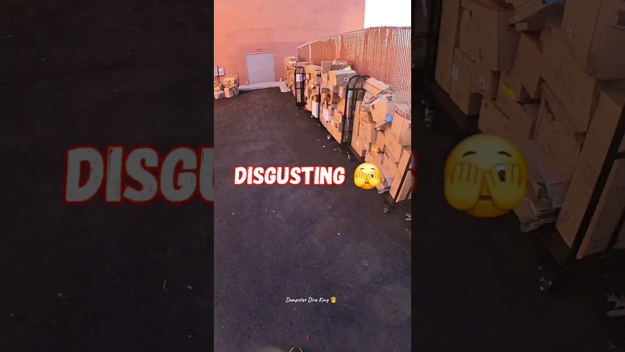 Store threw out the whole store part 1 Sneak peek😔#dumpsterdiveking #dumpsterdiving #sad #free #toys