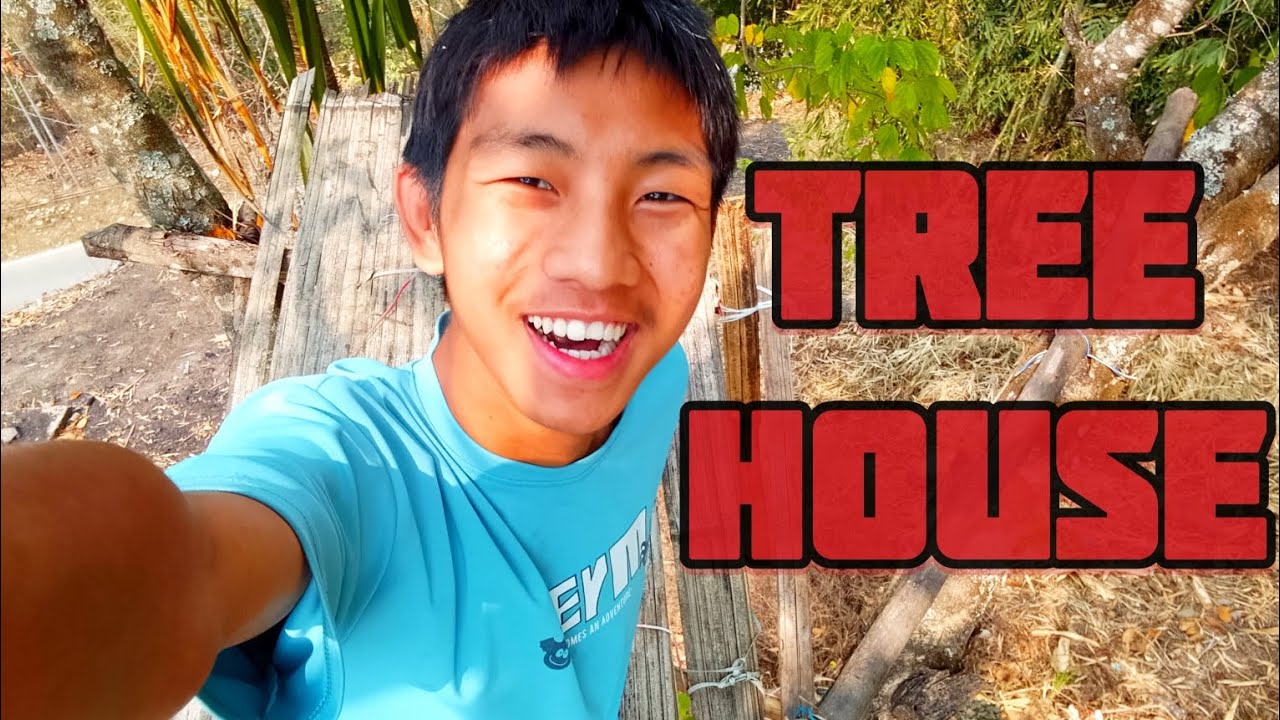How looks 5 years old tree house 😱 #vlog  #video #treehouse #magamoses