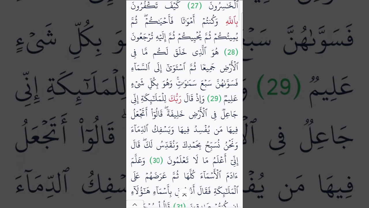 يلا نختم في ٣٠ يوم / اليوم الاول ج١ سوره البقره  بصوت القارئ الشيخ مشاري العفاسي من الايه ١ ل ٦١ 