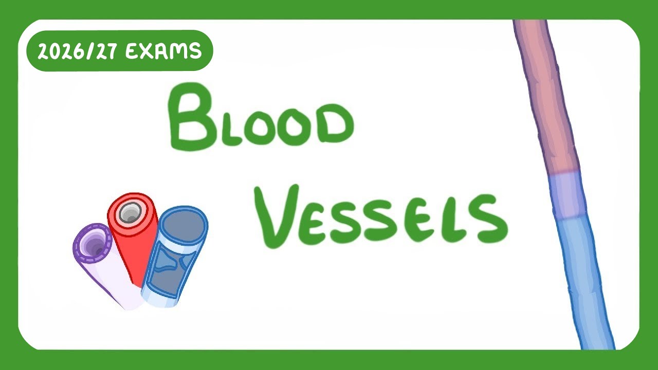 GCSE Biology - Blood Vessels (2026/27 exams)