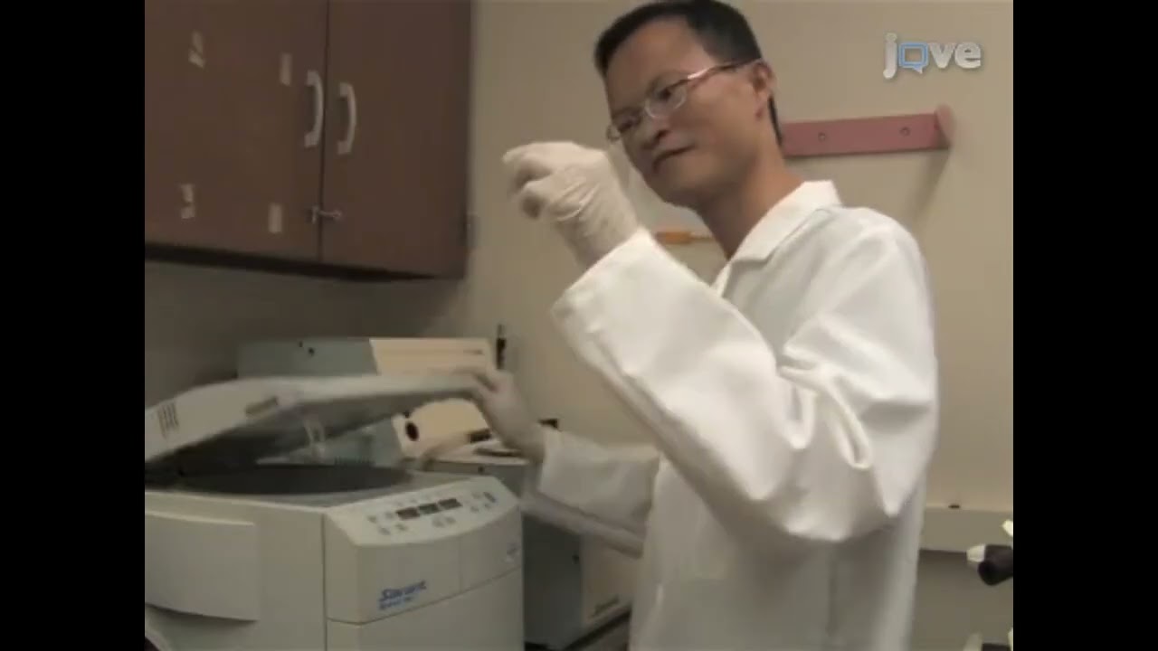 Conducted amide hydrogen/deuterium exchange experiments to investigate Pak2 activation