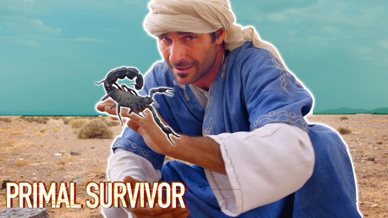 Handling a LETHAL Desert Scorpion | Primal Survivor