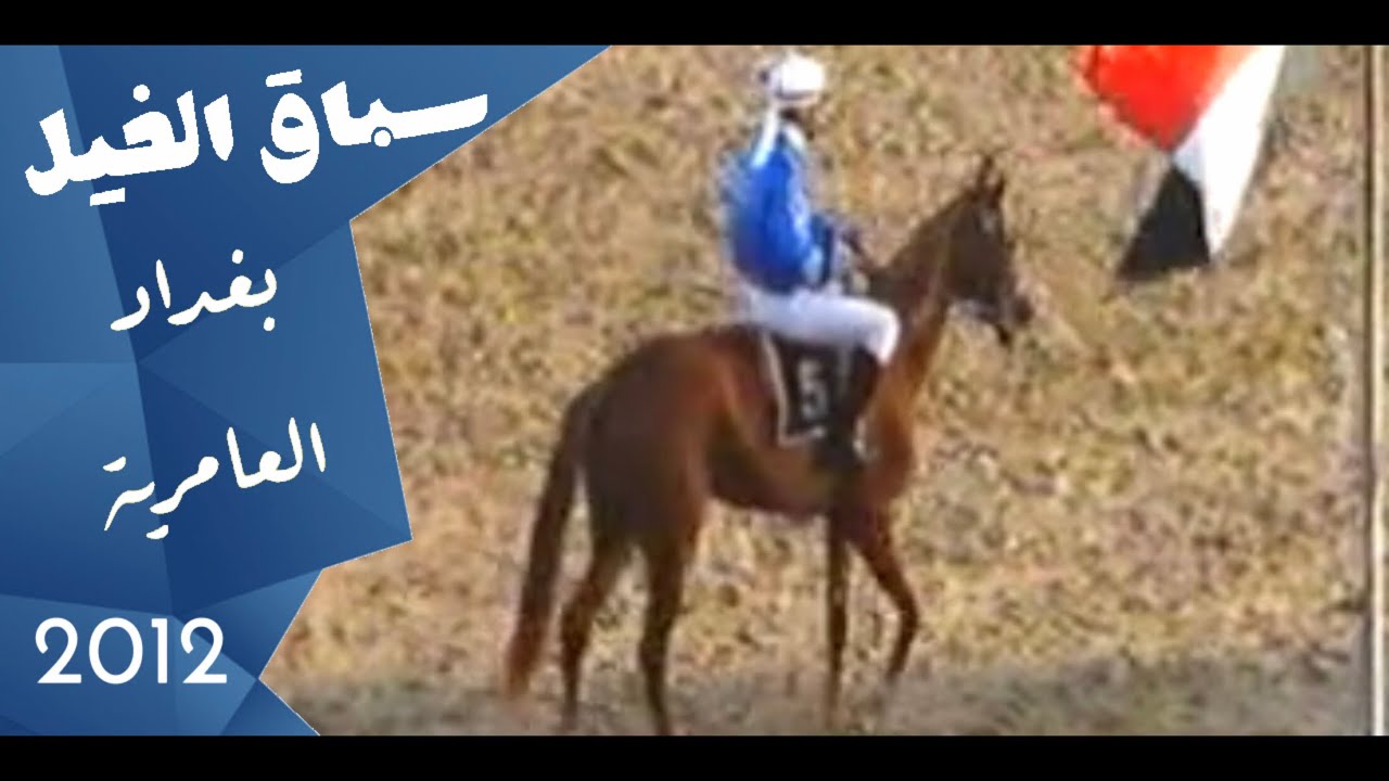 نادي الفروسية العراقي || الفارس وليد رستم || موسم 2012 - 2013