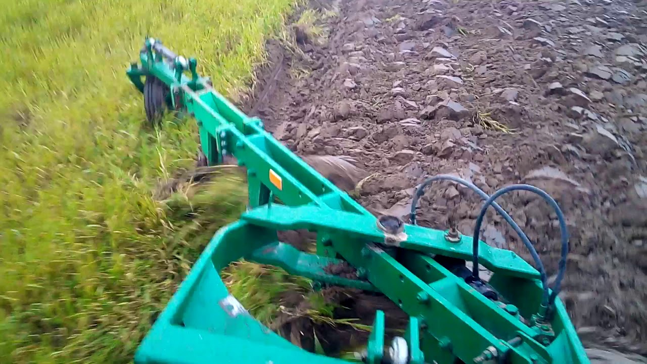 Orka poplonu Fortschritt 323a i pług wahadłowy jedyny taki zestaw na YT