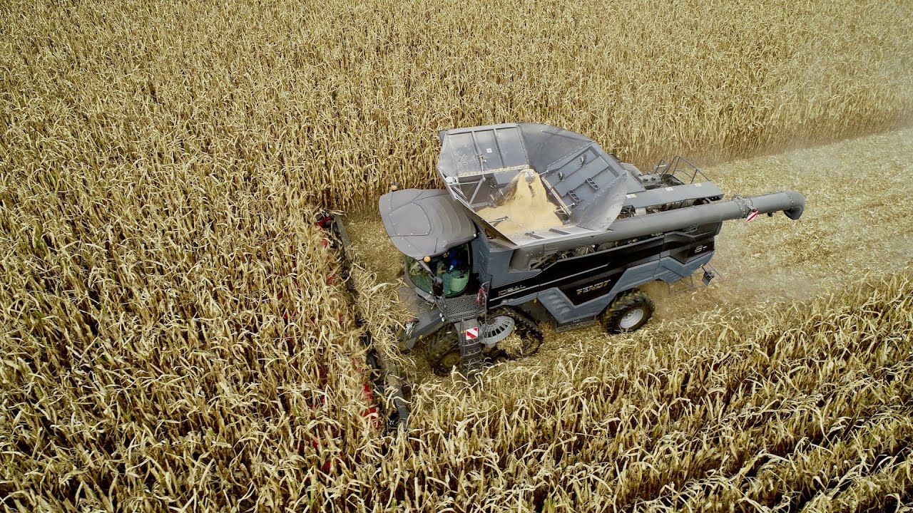 UNIQUE in EUROPE !! FENDT IDEAL 8T in Corn Harvest !