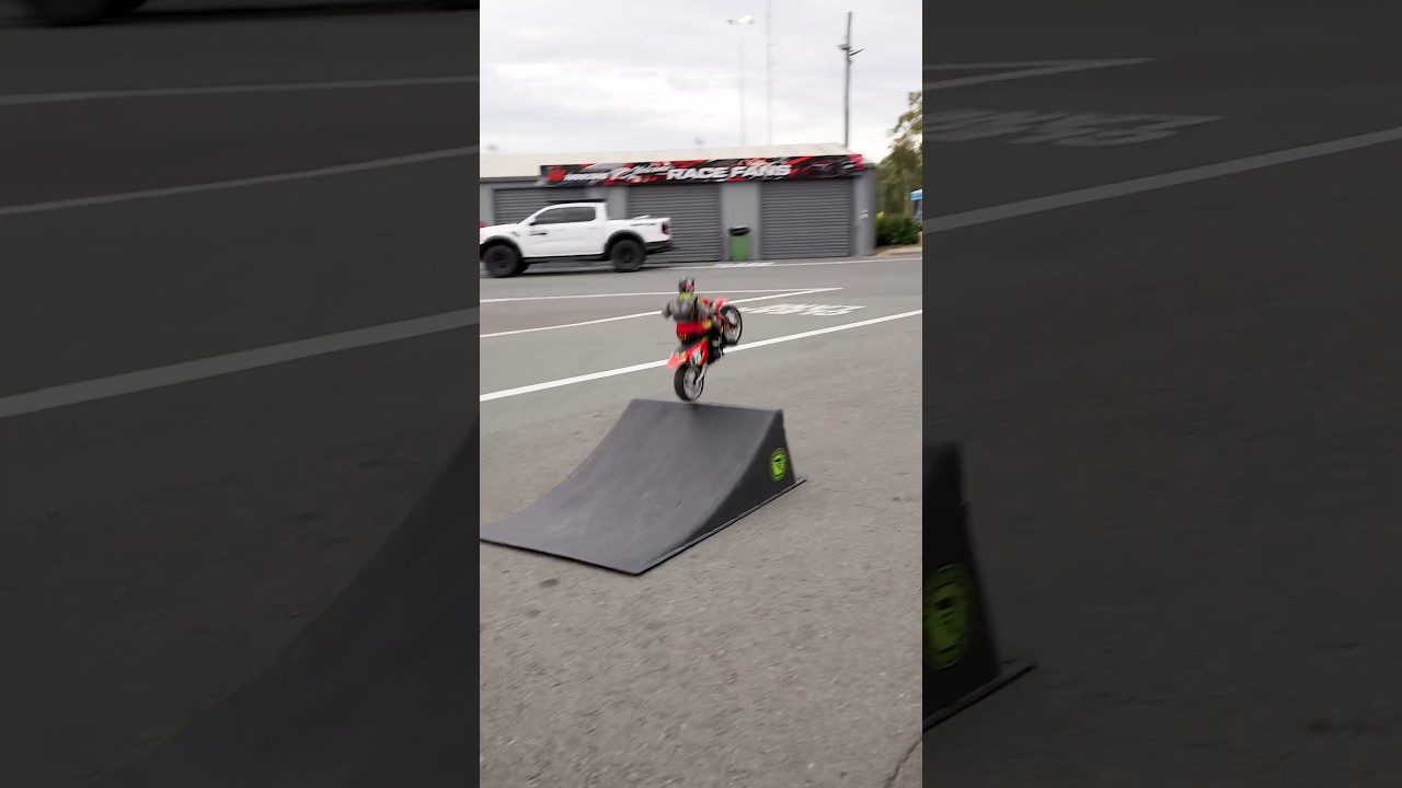 Losi Promoto-MX RC motorbike 🦅