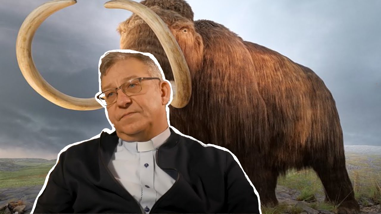 JAK BYĆ MĘŻCZYZNĄ KIEDY WYGINĘŁY MAMUTY | meme commentary