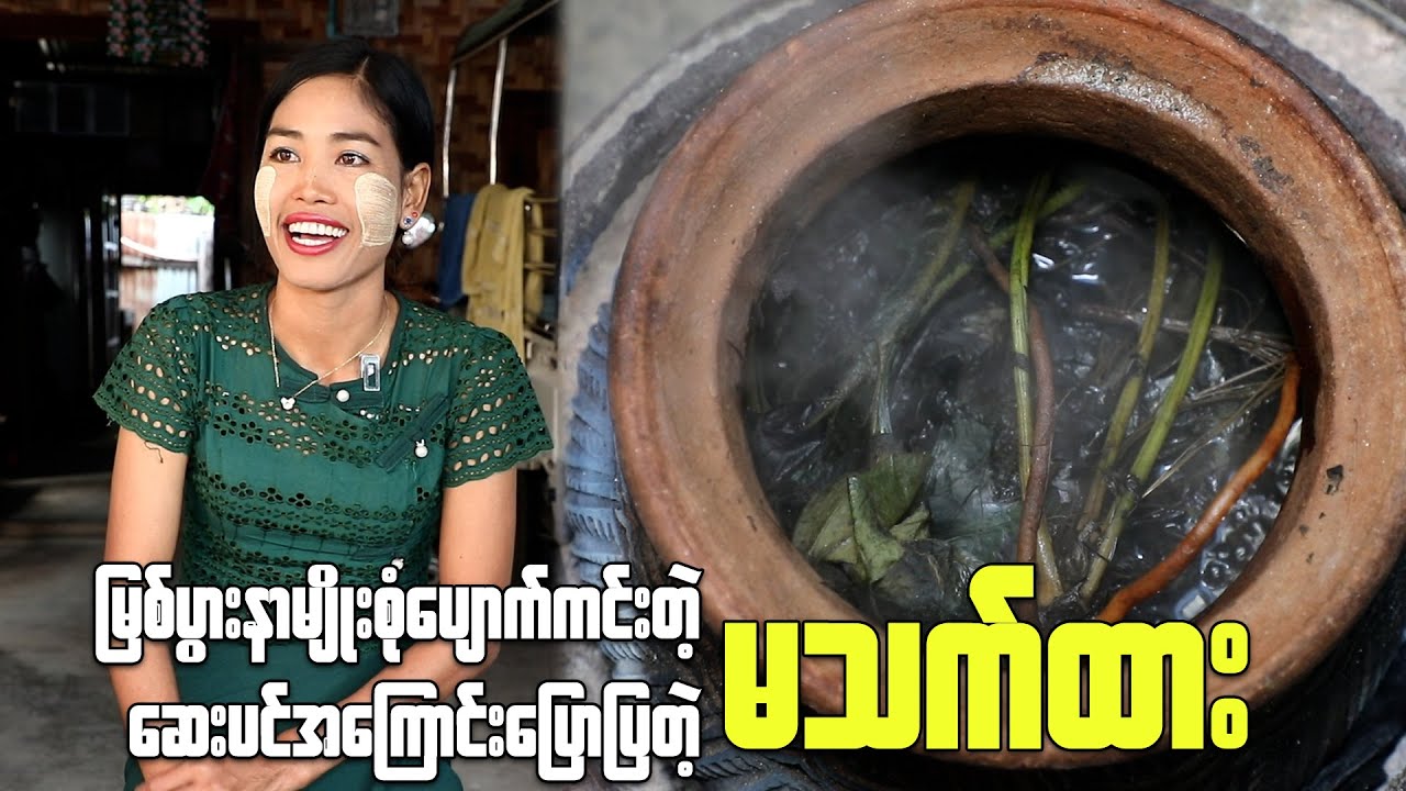 မြစ်ပွားနာမျိုးစုံပျောက်ကင်းတဲ့ ဆေးပင်အကြောင်းပြောပြတဲ့ မသက်ထား