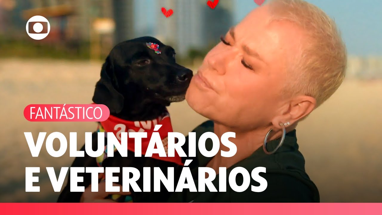 Deu Petch!: Xuxa conhece voluntários e veterinários em prol da causa animal! | Fantástico | TV Globo